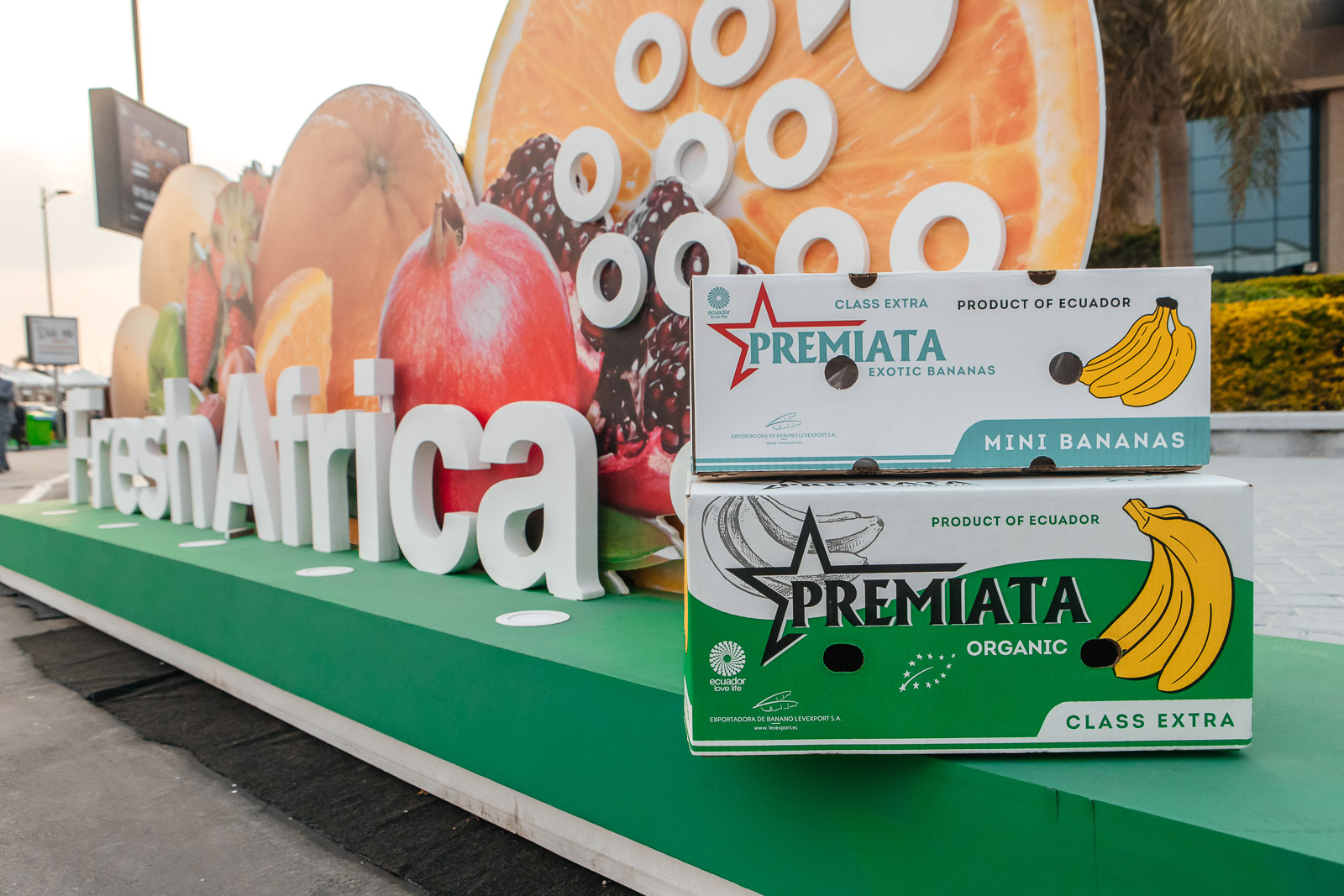 Cajas de bananas PREMIATA frente a la instalación Fresh Africa en El Cairo.